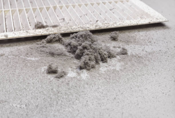 Best Professional Duct Cleaning Services  in Leavittsburg, OH